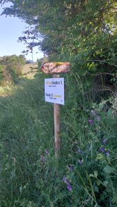 POI Saint-Georges-de-Luzençon - retour fin de sentier GR hier continuer sur piste  - Photo 2