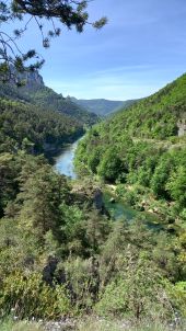 Punto di interesse Saint-Pierre-des-Tripiers - balisé GR tout droit  - Photo 4