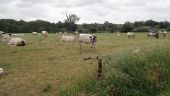 Punto di interesse Genappe - Vues nord, est et ouest dans la Rue de Fonteny - Photo 2