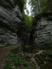 Point d'intérêt Tévenon - Gorge de la Poëta-Raisse - Photo 1