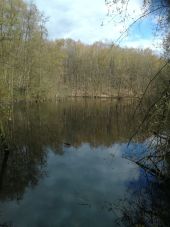 POI Braine-le-Comte - IMG_20210411_155821 - Photo 1