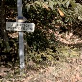 Punto de interés Charencey - Saint-Maurice-lès-Charencey, au départ de 3 Traversées Percheronnes - Photo 6