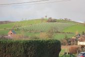 Point of interest Plombières - Vignes de la croix de Hombourg - Photo 1