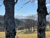 Point d'intérêt Cherier - Panorama sur Pierre-sur-Haute - Photo 1