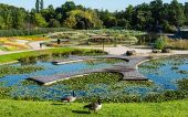 Punto de interés París - Parc Floral de Paris - Photo 1