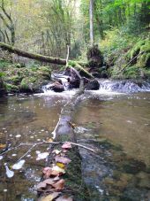 Point d'intérêt Ferrières-sur-Sichon - la rivière  - Photo 2