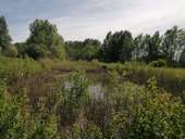 Point of interest Enghien - GG-HT-06-1_Observatoire ornithologique - Photo 1