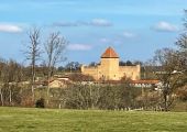 Point d'intérêt Pouilly-sous-Charlieu - Vue sur le château de Montrenard - Photo 1