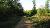 Point d'intérêt Trosly-Breuil - départ et arrivée - Photo 2