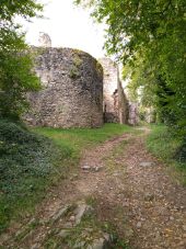 Point d'intérêt Ferrières-sur-Sichon - château montgilbert  - Photo 3