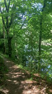 POI La Malène - bord de l'eau - Photo 1