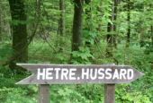 Punto de interés Musson - Les Hêtres du Hussard - Photo 11