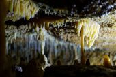 Point d'intérêt Hotton - Les Grottes de Hotton - Photo 3