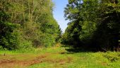 Point d'intérêt Saint-Léger-aux-Bois - Point 3 - Photo 11