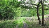 Point d'intérêt Choisy-au-Bac - Point 9 - Photo 17