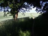 POI Grez-Doiceau - Vue est à l'entrée du Bois de Roivoie - Photo 1