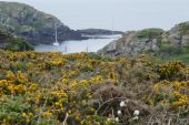 Point d'intérêt Groix - Port Saint-Nicolas - Photo 1