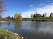 POI Villers-la-Ville - Vue sud-ouest sur un des étangs du golf de Rigenée - Photo 1