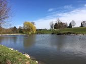 Point d'intérêt Villers-la-Ville - Vue sud-ouest sur un des étangs du golf de Rigenée - Photo 1