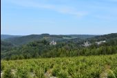 Point d'intérêt Saint-Hubert - Vue vers la vallée de la Lomme, Mirwart et son château - Photo 1