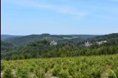 Point of interest Saint-Hubert - Vue vers la vallée de la Lomme, Mirwart et son château - Photo 1