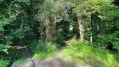 Punto di interesse Dampleux - Unnamed POI - Photo 6