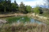 POI Monze - Le lac - aire de pique-nique - Photo 2