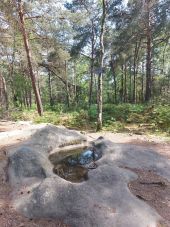 Point d'intérêt Fontainebleau - Le lavabo du Chasseur noir - Photo 1