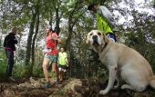 Punto de interés Sainte-Croix-Volvestre - Aiguilleur - Photo 1