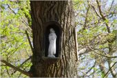 Punto di interesse Fleurines - le chêne à l'mage - Photo 1