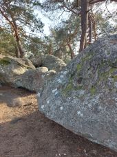 Point of interest Fontainebleau - Unnamed POI - Photo 1