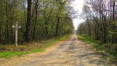 Point d'intérêt Saint-Léger-aux-Bois - Point 22 - Photo 1