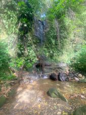 Point d'intérêt Basse-Pointe - Cascade  - Photo 1