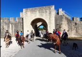 Punto de interés Provins - Remparts de la Ville Haute de ¨Porte St Jean à Porte Jouy - Photo 1