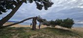 Punto de interés Hyères - Les vieux salins de Hyères - Photo 5