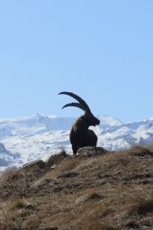 POI La Tour-en-Maurienne - L'échaillon - Montandré - Photo 2