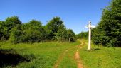 Point d'intérêt Trosly-Breuil - Point 25 - Photo 8