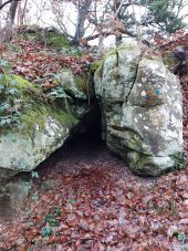 POI Fontainebleau - Unnamed POI - Photo 1