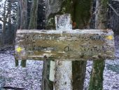 Point of interest Moye - SENTIER DE LA COLORETTE - Photo 1
