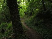 POI Parijs - Butte aux Canons, Belvedere du bois de vincennes - Photo 1