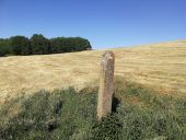 Point d'intérêt Ittre - Monolithe dans la prairie (GR12) - Photo 1