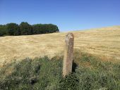POI Itter - Monolithe dans la prairie (GR12) - Photo 1
