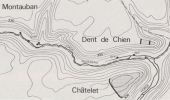 Point d'intérêt Étalle - Dent de Chien à Buzenol - Photo 13