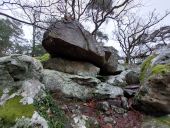 Point d'intérêt Fontainebleau - R - Bière de Biera - Photo 1