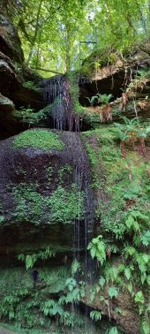 Point d'intérêt Baccarat - grotte de l'ours  - Photo 1