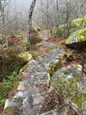 Point of interest Milly-la-Forêt - 150 marches  - Photo 1