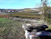 Point d'intérêt Saint-Preuil - Table pique-nique  - Photo 1