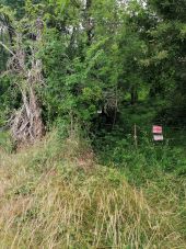 Point of interest Moult-Chicheboville - 🐸 1#13 - Entre Plaine et Marais à Chicheboville🌿 - Photo 1