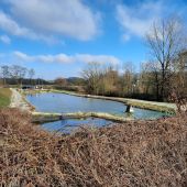 Point of interest Villers-la-Ville - Etang - Photo 1