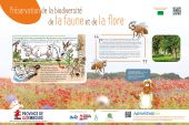 Point d'intérêt Virton - Préservation de la biodiversité de la faune et de la flore - Photo 1